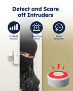 Alarm System