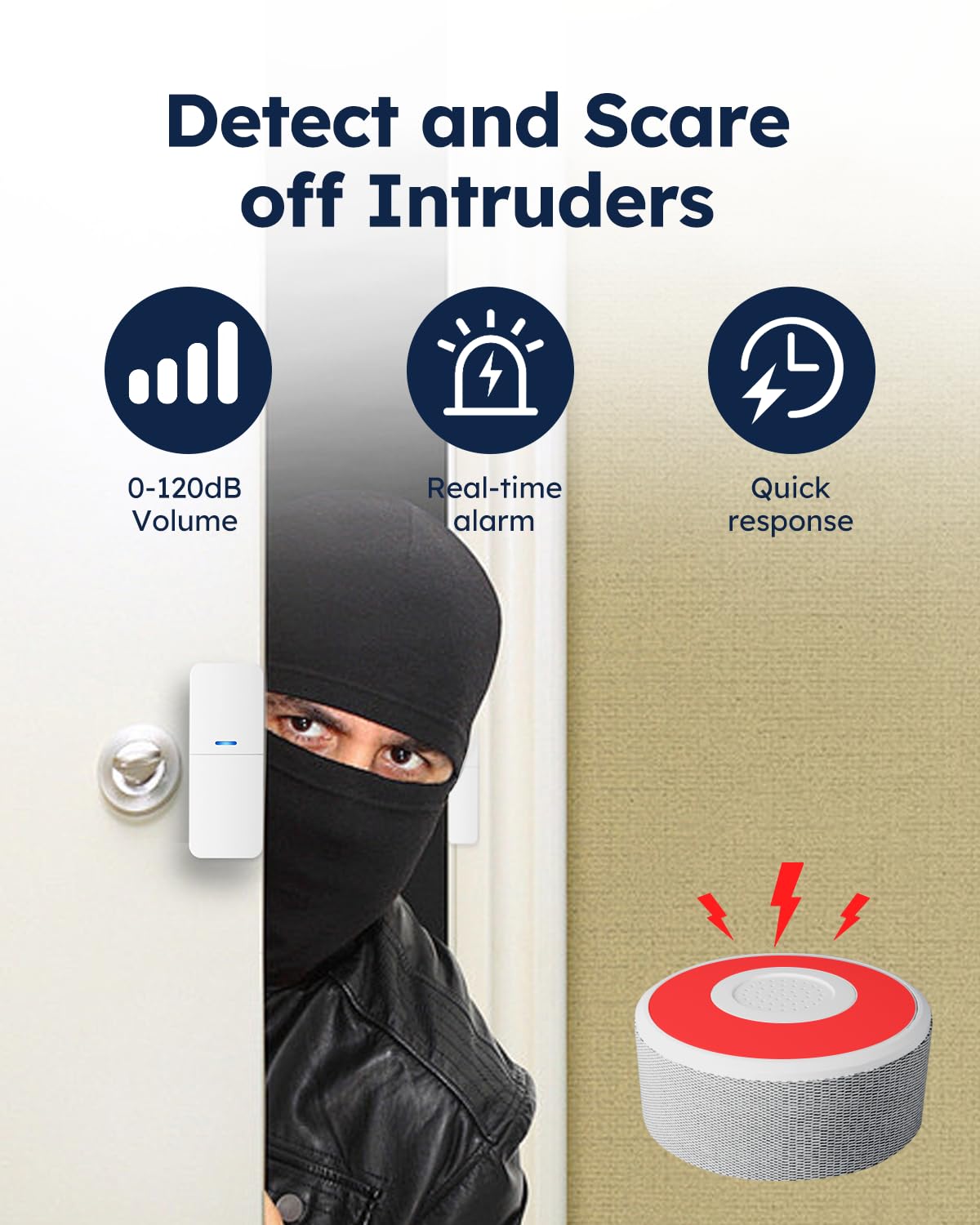 Alarm System