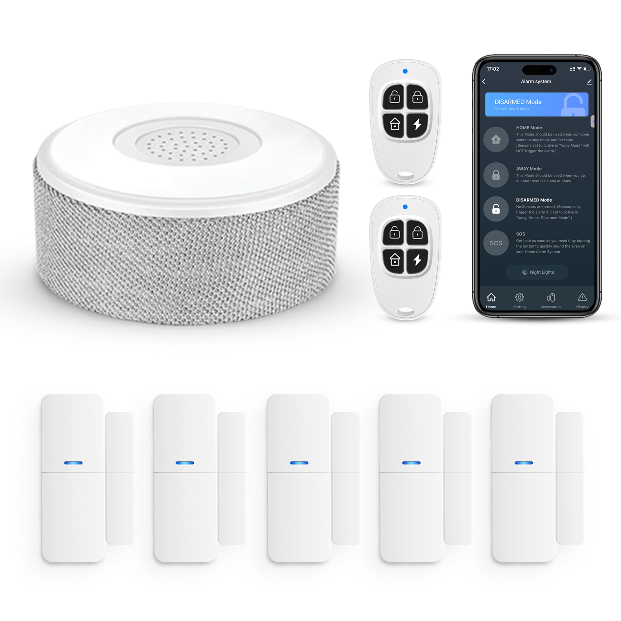 Alarm System