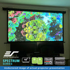 Spectrum RC1